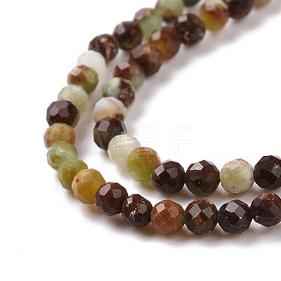 Natural Chrysoprase Beads Strands G-E591-08B-1
