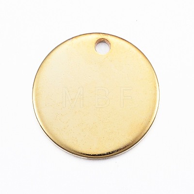 304 Stainless Steel Charms X1-STAS-G137-09G-1