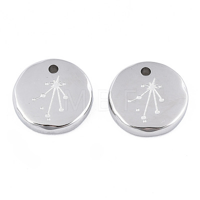 Non-Tarnish 316 Surgical Stainless Steel Charms STAS-S116-418K-P-1