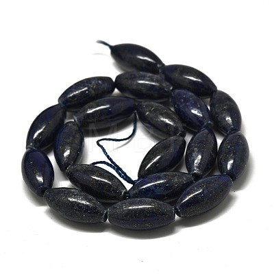 Natural Lapis Lazuli Beads Strands G-K311-11C-01-1