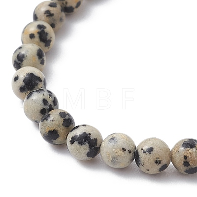 Natural Dalmatian Jasper Round Beaded Stretch Bracelets BJEW-JB09727-02-1