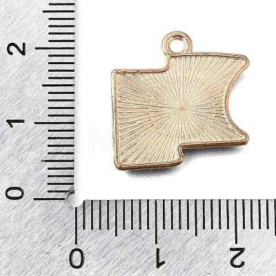Alloy with Enamel Pendants AL-CBA9E11-03KCG-20-1