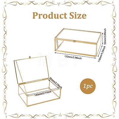 Transparent Glass Jewelry Organizer Display Cases with Metal Frame AJEW-WH0410-465B-1