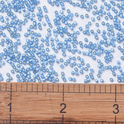 MIYUKI Delica Beads X-SEED-J020-DB2176-1