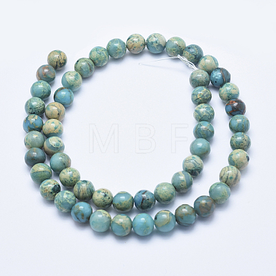 Natural Aqua Terra Jasper Beads Strands G-E444-14A-8mm-1