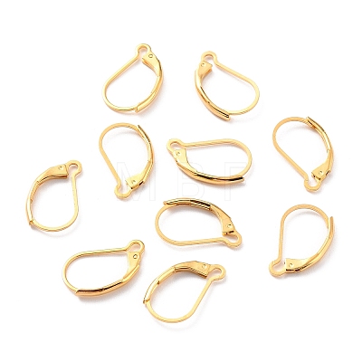 304 Stainless Steel Leverback Earring Findings LS-STAS-K233-04G-1