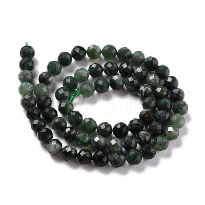 Natural Canada Jade Beads Strands G-K312-28C-1