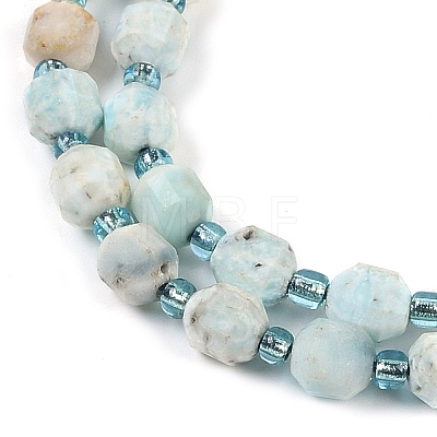 Natural Larimar Beads Strands G-O201B-105E-1