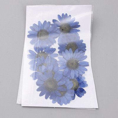Pressed Dried Flowers DIY-WH0308-412E-1-1