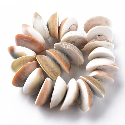 Natural Shell Beads Strands SSHEL-N034-101-1