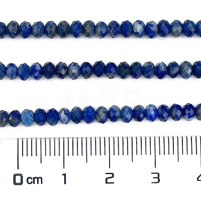 Natural Lapis Lazuli Beads Strands G-L587-B03-02-1