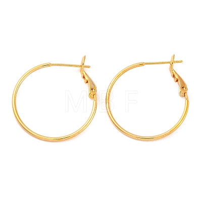 Brass Hoop Earrings EJEW-R014-17A-G-1