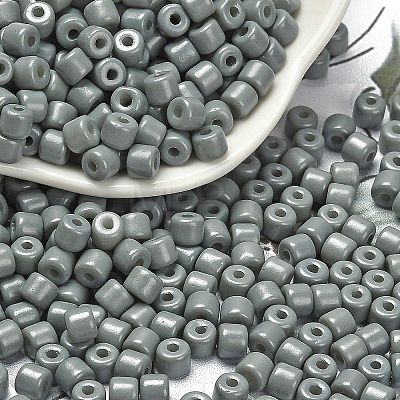 Baking Paint Pearlized Glass Seed Beads SEED-C001-04A-07-1