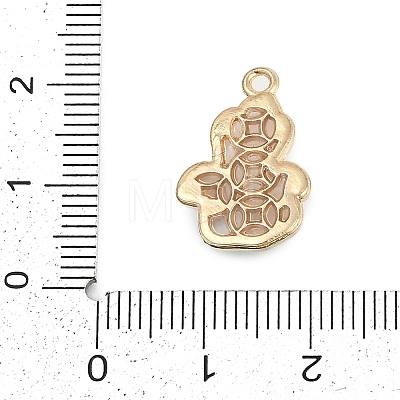 Alloy Pendants FIND-K020-17G-1