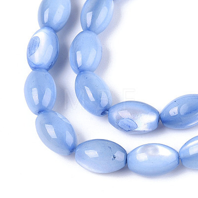 Natural Trochus Shell Beads Strands X-SHEL-K006-19-01A-1