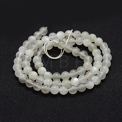 Natural White Moonstone Beads Strands G-P335-04-5mm-1