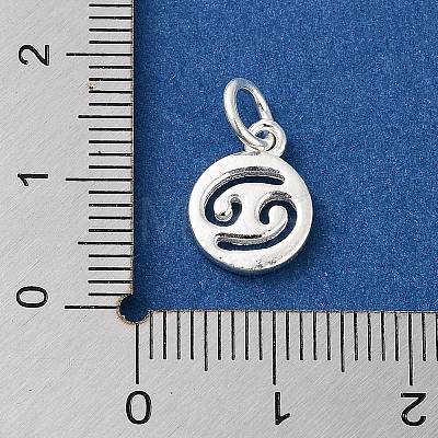 925 Sterling Silver Constellations Charms STER-M118-01J-1