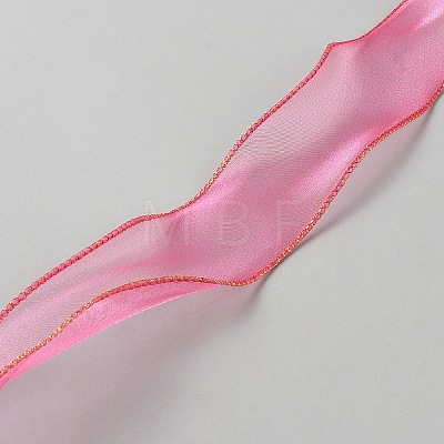 Polyester Mesh Ribbons SRIB-TAC0002-28A-02-1
