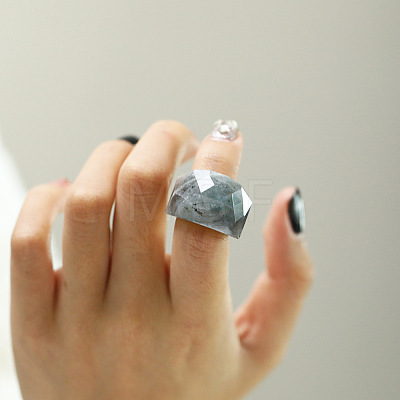 Fashionable 304 Stainless Steel & Natural Labradorite Finger Rings FS-WG90577-33-1