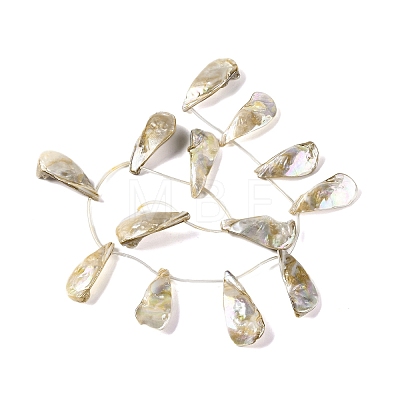 Electroplated Natural Freshwater Shell Beads Strands BSHE-S304-02-1