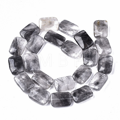 Natural Cloudy Quartz Beads Strands G-S359-225-1