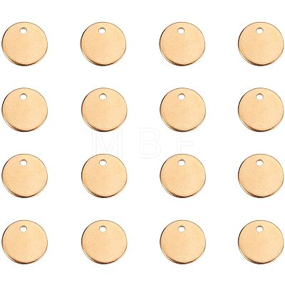 304 Stainless Steel Charms STAS-PH0035-08G-1