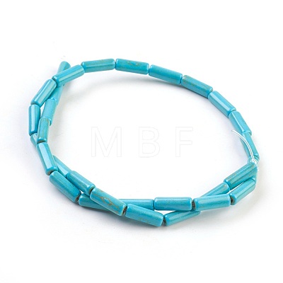 Synthetic Turquoise Beads Strands TURQ-G120-4x13mm-15-1