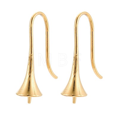 Ion Plating(IP) 304 Stainless Steel Earring Hooks STAS-N108-30G-1