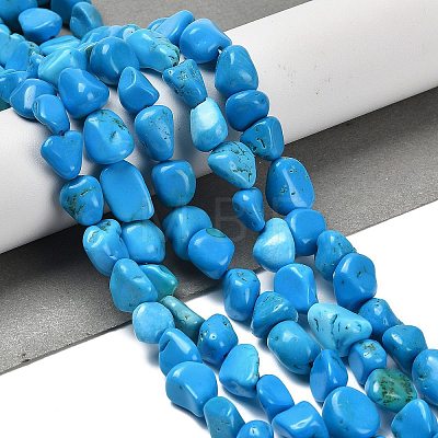 Natural Howlite Beads Strands G-P497-01E-37-1