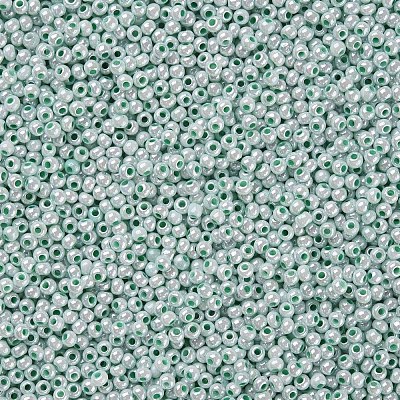 11/0 FGB Grade A Ceylon Glass Seed Beads X-SEED-N001-B-0487-1