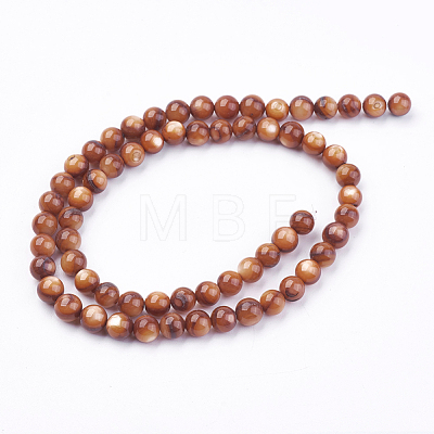 Shell Beads Strands BSHE-P026-39-1