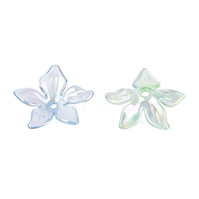 Transparent Plastic Bead Caps KY-N025-38-1