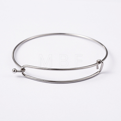 Tarnish Resistant Adjustable 304 Stainless Steel Expandable Bangle Making LS-BJEW-L604-09P-1
