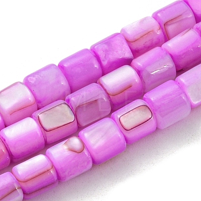 Natural Freshwater Shell Beads Strands SHEL-F008-04B-1