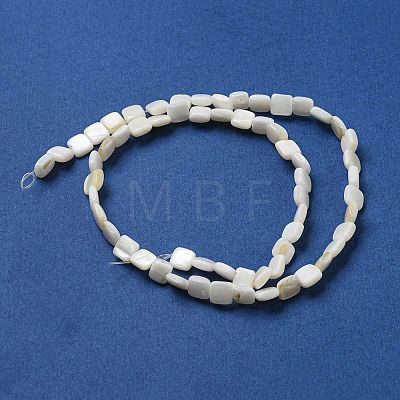 Natural Freshwater Shell Beads Strands SHEL-C005-05-1