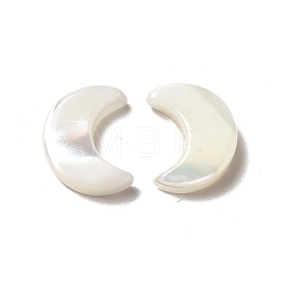 Natural Freshwater Shell Beads BSHE-E026-13-1
