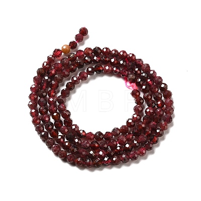 Natural Garnet Beads Strands X-G-I341-09B-1