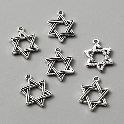 Tibetan Style Alloy Pendants FIND-CJC0012-045-1