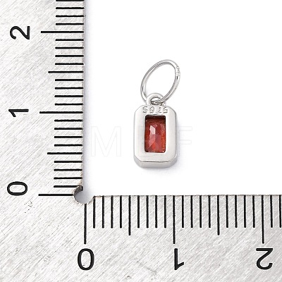 925 Sterling Silver Cubic Zirconia Charms STER-NH0014-01P-01-1