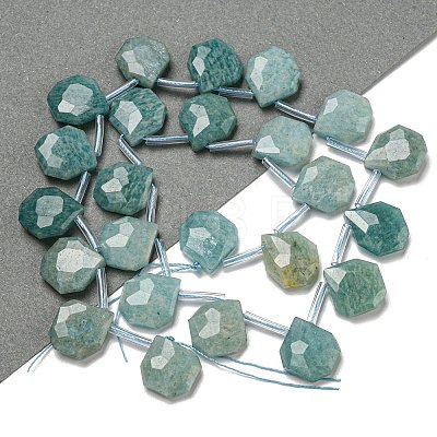 Natural Amazonite Beads Strands G-P544-C07-01-1