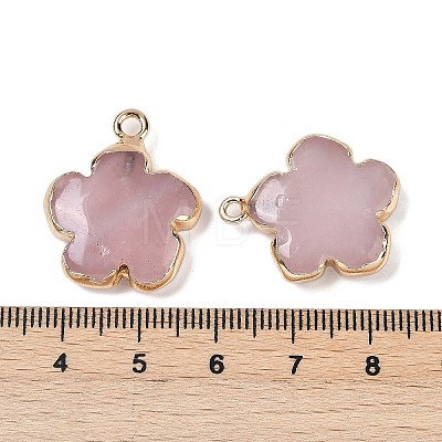 Natural Rose Quartz Pendants G-P566-01G-10-1