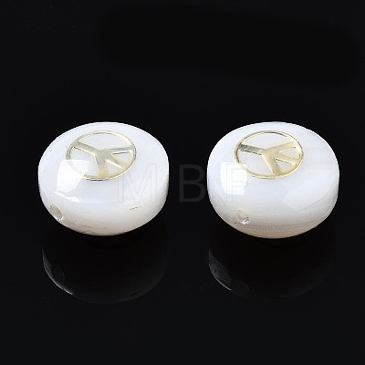 Freshwater Shell Beads SHEL-T018-18-1