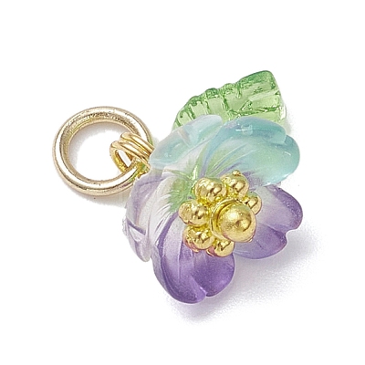 Transparent Resin & Acrylic Pendants PALLOY-JF04358-1