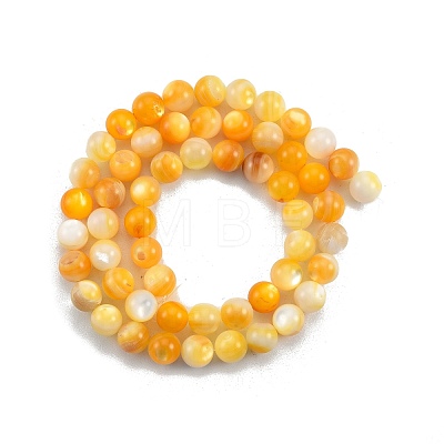 Natural Golden Yellow Shell Beads Strands SSHEL-G024-01B-1