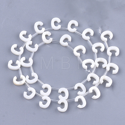 Natural Freshwater Shell Beads SHEL-T012-59C-1