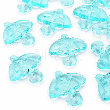 Transparent Acrylic Pendants TACR-T024-01B-946-1
