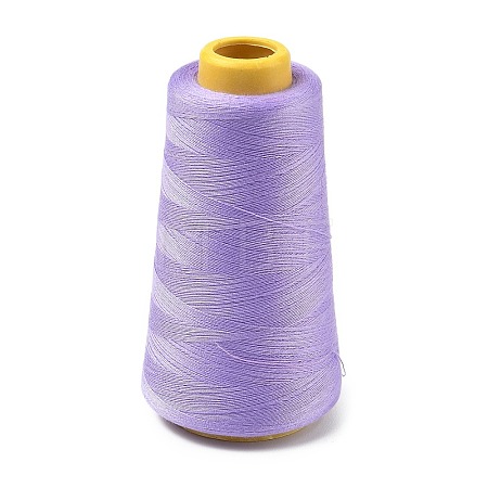 3000M Polyester Machine Embroidery Threads FB-CBA5736-01D-1