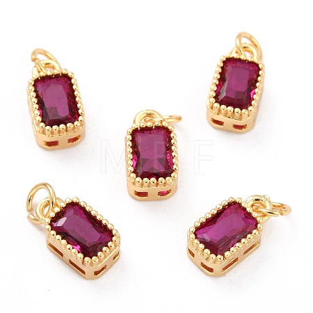 Real 18K Gold Plated Brass Inlaid Cubic Zirconia Charms ZIRC-L100-075G-04-1