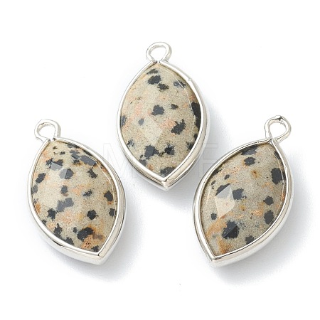 Natural Dalmatian Jasper Pendants G-B009-01P-B-1