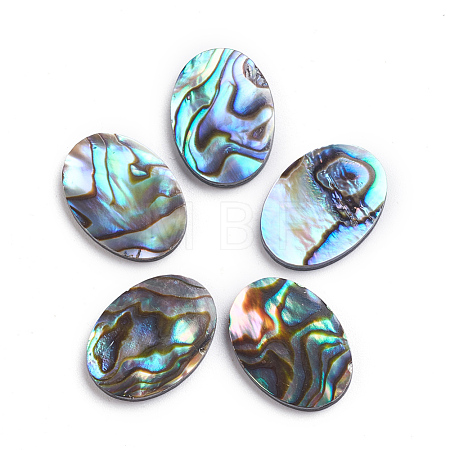 Natural Abalone Shell/Paua Shell Cabochons SSHEL-L017-003-1